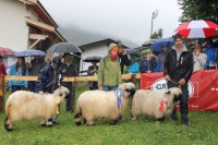 /album/walliser-schwarznasen/img-2438-jpg/